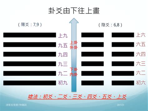 陰陽爻